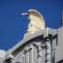 Ancient helmets on the Faculty of Arts building