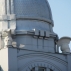 Ancient helmets on the Faculty of Arts building