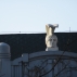 Ancient helmets on the Faculty of Arts building